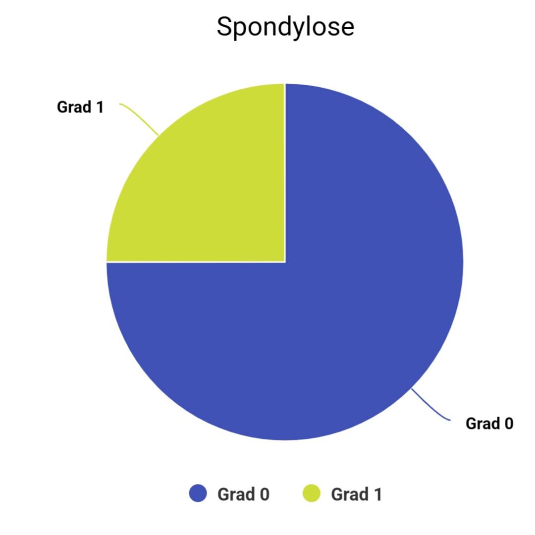 Spondylose 